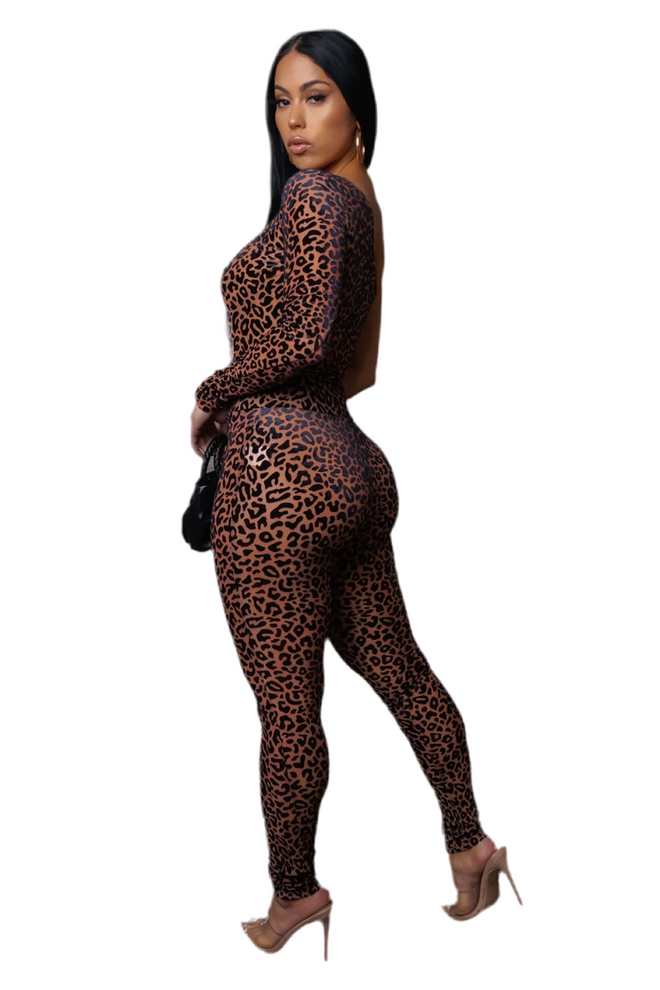 Cheetah speed set